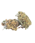 Fleur de CBD Mango 12% - Koalife