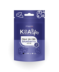 Fleur de CBD Blueberry 11% - Koalife