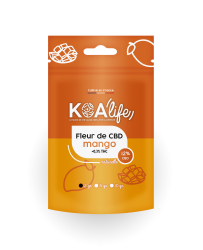 Fleur de CBD Mango 12% - Koalife