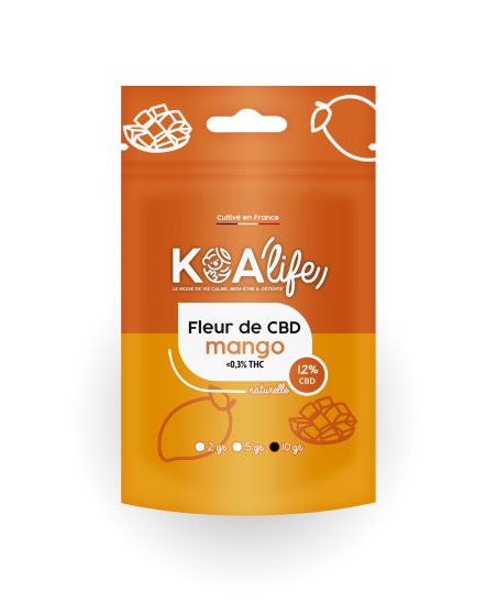 Fleur de CBD Mango 12% - Koalife